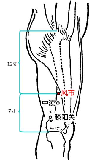 風是穴|風市穴